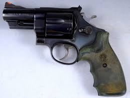 Image result for Magnum DeltaForce