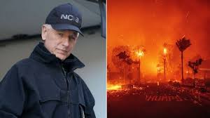 actor Mark Harmon ...