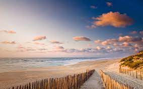 We did not find results for: Pretty Beach Way Fence Ozean Hintergrundbilder Pretty Beach Way Fence Ozean Frei Fotos