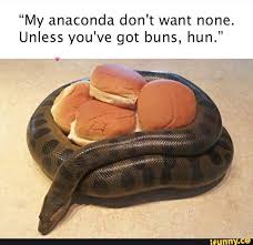 My Anaconda Don T Want None Unless You Ve Got Buns Hun Ifunny Funny Pictures Hilarious Funny Animal Pictures