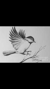Flying Bird Of Paradise Drawing Talented Bird Drawings Flying Bird Drawing Birds Flying