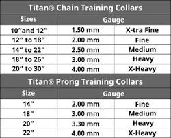 Chain Training Product