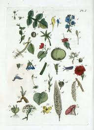 Pin On Art In So Many Media