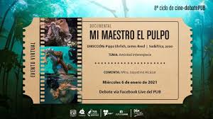 Mi maestro el pulpo año: Cine Debatepub Documental Mi Maestro El Pulpo 6 De Enero De 2021 Youtube