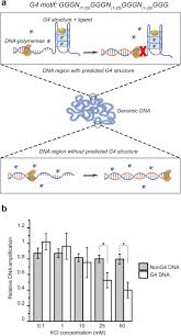 Ku mengerti.makna kebersamaan yang sebenarnya hanya denganmu.bukan yang lain! Identification Of Putative G Quadruplex Dna Structures In S Pombe Genome By Quantitative Pcr Stop Assay Sciencedirect