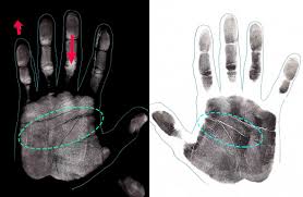Right Or Left Hand Lawrence Rook