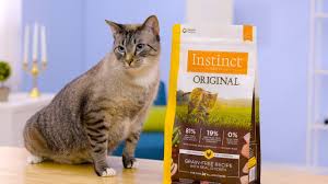 You and your family are exposed to these dangers as you are the ones that have to take care of your pet's basic needs and her care. Instinct Original Cat Food Chewy Youtube