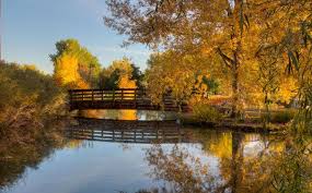Monet S Place At Hudson Gardens Littleton Co With The Water Garden As Its Backdrop And An Inspiring V Denver Photos Beautiful Locations Location Photography