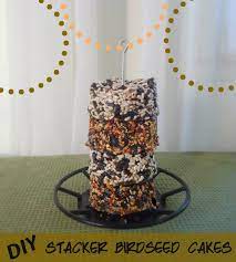Diy Birdseed Cakes For Birdola Stackers Bird Seed Homemade Bird Feeders Bird