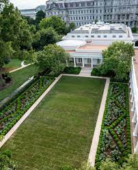 Melania Trump 45 Archived On Twitter Excited To Honor History Celebrate The Future In Our Beautiful Whitehouse Rose Garden This Evening Thank You To All Who Helped Renew This Iconic