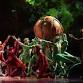 Cirque du Soleil - OVO event in Mexico City