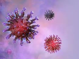Most people will have mild symptoms and get better on their own. Who Chief Warns Of Complacency As Global Coronavirus Cases Drop Business Standard News