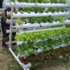 It takes conventional aquaculture ideas of raising snails, fish, prawns, and other like creatures in tanks and combines it with hydroponics, which is cultivating plants in water. 20 Hydroponic Designs Ideas Hydroponics Hydroponic Gardening Aquaponics