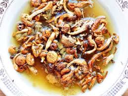 Sup cendawan cendawan kering sering dimanjakan oleh suri rumah kaum rusia dari rumah mereka, menggunakan persiapan musim panas dari hadiah hutan, berguna, harum dan enak. Cara Memasak Sup Sedap Dari Cendawan Porcini Kering Resepi Sup Cendawan Kering