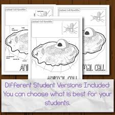 We are a custom essay writing service that's open 24/7. Animal And Plant Cells Doodle Diagrams Store Science And Math With Mrs Lau