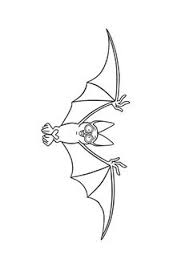 Print coloring pages online or download for free. Siamese Cat Coloring Page British Shorthair