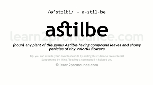 Astilbe Pronunciation And Definition Youtube
