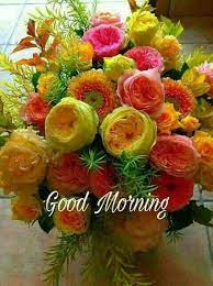 Good morning rose flower image. Morning Good Morning Roses Good Morning Flowers Beautiful Flowers