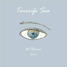 The way it brings out the blue in your eyes. Tenerife Sea Ed Sheeran Cover By Hearts A Fire