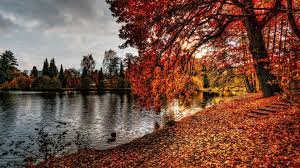 Download Wallpaper 1920x1080 Autumn Park Foliage Lake Full Hd 1080p Hd Background Hd Nature Wallpapers Landscape Cool Landscapes