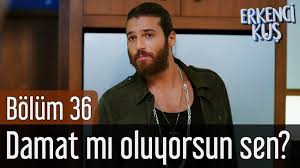 Erkenci Kus 36 Bolum Damat Mi Oluyorsun Sen Sanem Youtube Berat
