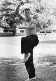 The Inspired Teacher: My teacher, Dr. Leung Kay-chi, master of many styles.