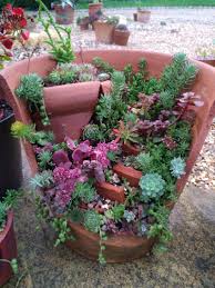 Maybe you would like to learn more about one of these? How To Make A Succulent Garden Outside In Any Climate Buckinghamshire Landscape Gardeners