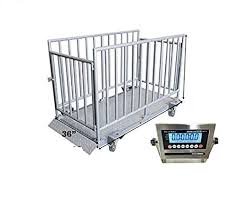 The volume figures, in cubic inches, shown in the size data chart can easily be converted to weight by the application of appropriate conversion factors. Amazon Com Selleton Livestock Animal Weighing Scale Veterinary Scale For Bull Ship Goat Camel Pig Sheep Etc 60 X 36 X 37 Lxbxh Industrial Scientific