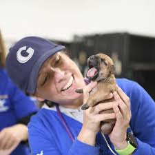 The Ohio State University Veterinary Medical Center
