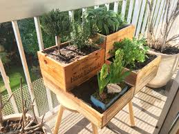 Minute Jardinage Potager Maison Caissedevin Aromatiques Thym Romarin Sauge Sarriette Menthe Marocai Jardin Potager Menthe Marocaine Potager Balcon