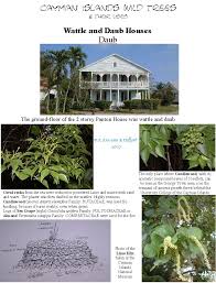 Cayman Wattle And Daub Houses The Woods That Were Used To Make The Daub And A Photo Of The Lime Kiln Cayman Isla Wattle And Daub Cayman Islands Wood Candles