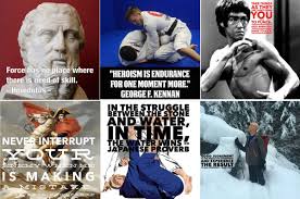Fighter pilots have ice in their veins. 47 Favourite Martial Arts Quotes For Inspiration Grapplearts