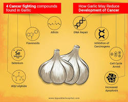 Garlic cancer