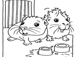 We did not find results for: Cute Guinea Pig Coloring Page Novocom Top