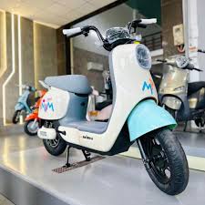 Xe đạp điện Q10 – TP BIKER - XE CHO TƯƠNG LAI