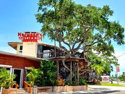 Maybe you would like to learn more about one of these? Things To Do In Titusville Florida Buddy The Traveling Monkey
