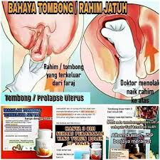 P>penelitian ini bertujuan menguji pengaruh tombong kelapa yang dicampurkan ke dalam pakan terhadap parameter kesehatan tikus putih betina dara melalui nilai hematologi lengkap. Tombong Gambar Rahim Jatuh Peringkat Awal