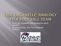 Check spelling or type a new query. Ppt Cell Organelle Analogy To A Football Team Powerpoint Presentation Id 2804649