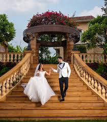 Weddings & Festive Celebrations