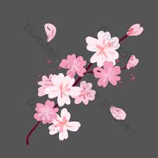 Blooming cherry branch, vector illustration and big set of design floral elements. Blooming Pink Cherry Blossom Illustration Png Images Psd Free Download Pikbest