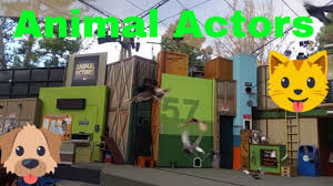 Universal Studios Animal Actors Clip Animals Universal Studios Actors