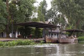 Mai multe păsări exotice, descoperite în delta dunării. O Poveste In Imagini Din Delta Dunarii Un An Haihui