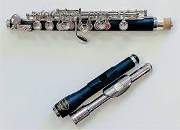 When you blow very hard on this instrument a shrill tone will come out. Piccolo 2 Headed Tempest Musical Instruments