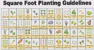 Eat Live Grow Paleo Square Foot Gardening Planning Square Foot Gardening Plans Garden Layout Vegetable Square Foot Gardening Layout