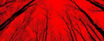 The film stars roland møller, peri baumeister, chidi ajufo and alexander scheer. There S A Blood Red Sky In This Poster For The Woods The Horror Entertainment Magazine