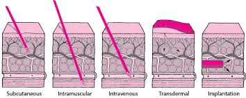 A guide to medical abbreviations used on pharmacy prescriptions including a list of over 300 trailing zeros on medication orders. Drug Administration Drugs Msd Manual Consumer Version