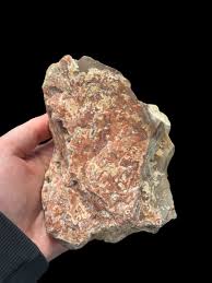 Image result for Agate Red Brown 1956 Wayne Works