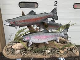 A testimonial to friends and family of your moment of victory. Faux Taxidermy Repro Beautiful Rainbow Trout Taxidermy Mount Log Cabin Fishin Lodge Decor 1 Taxidermy Curiosities