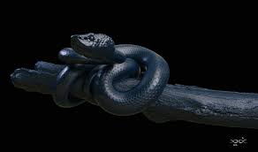 Maybe you would like to learn more about one of these? Navid Tabatabaee Blue Snake