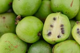 Image result for foto minikiwi